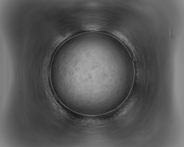 X0000088390529200705221116