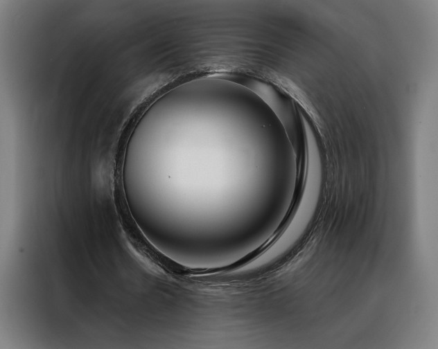 X0000088390530200705221116