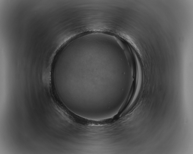 X0000088390531200705221116