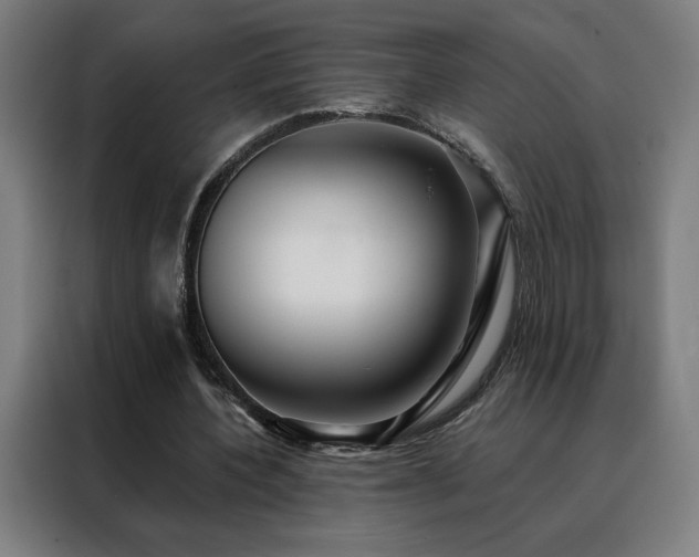 X0000088390532200705221116