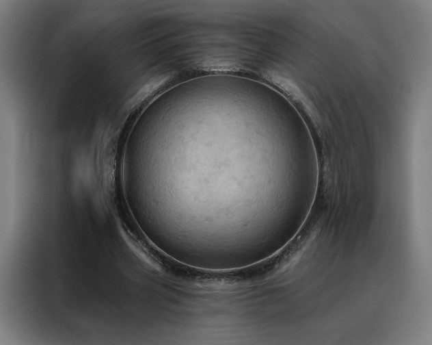 X0000088390533200705221116