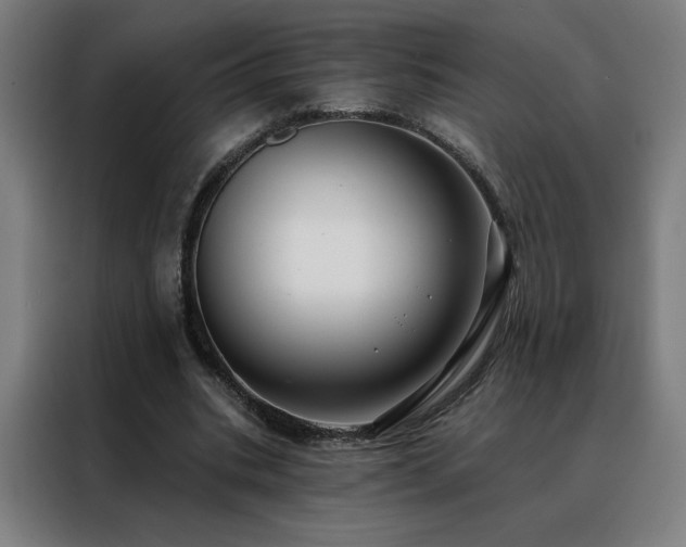 X0000088390535200705221116