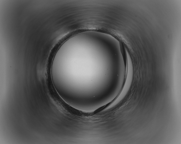 X0000088390536200705221116