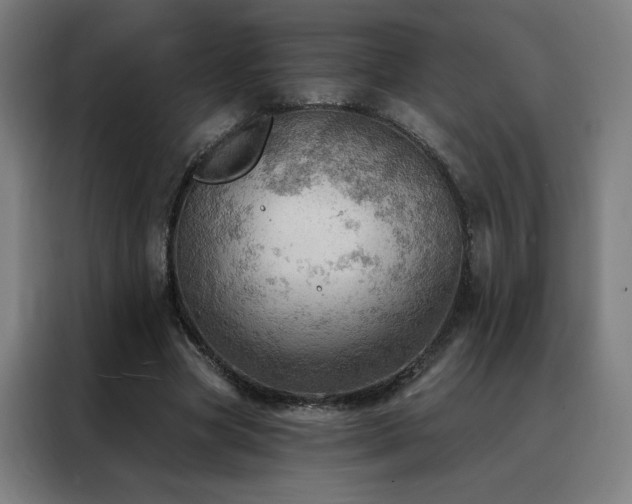 X0000088390537200705221116