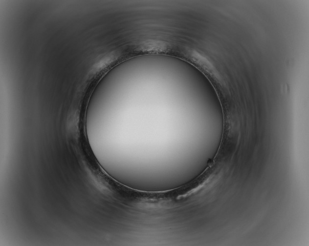 X0000088390538200705221116