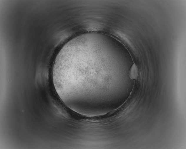 X0000088390539200705221116