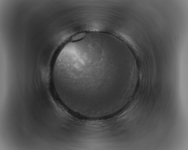 X0000088390540200705221116