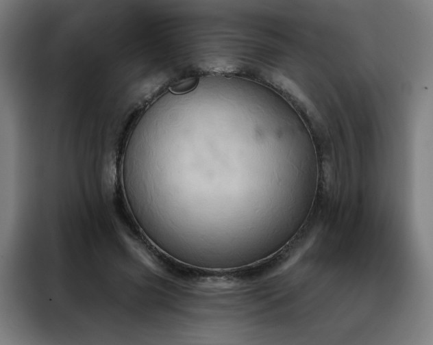 X0000088390541200705221116