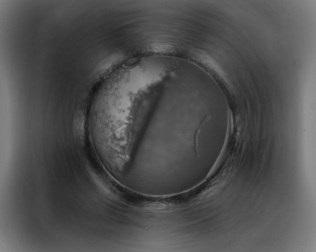 X0000088390542200705221116