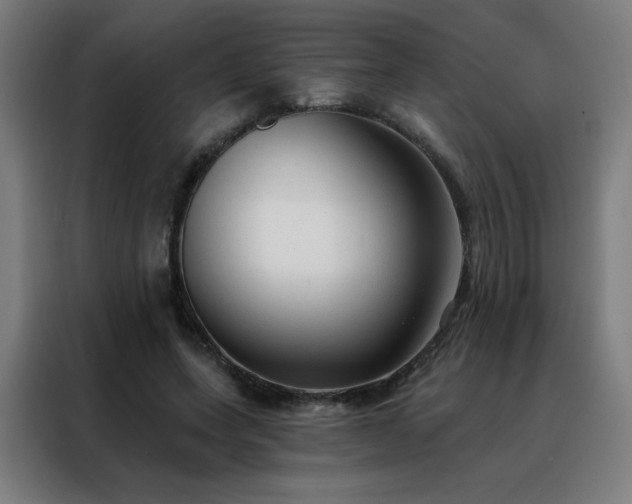 X0000088390543200705221116