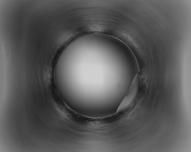 X0000088390544200705221116