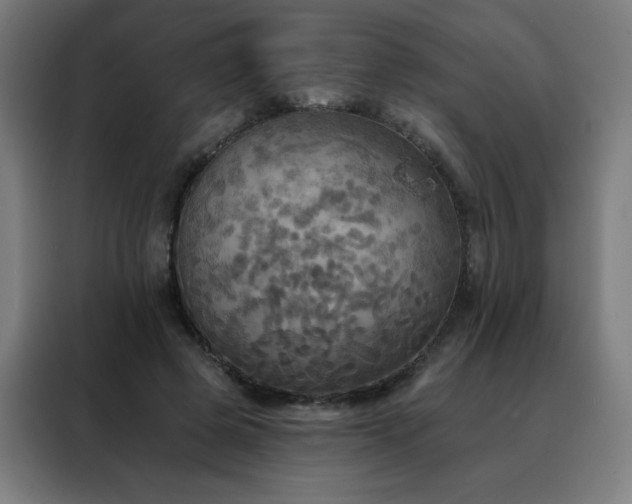 X0000088390545200705221116