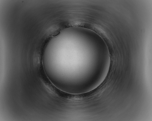 X0000088390546200705221116