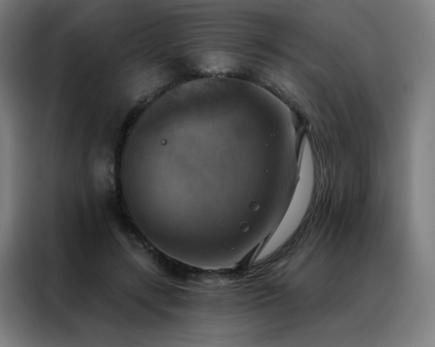 X0000088390547200705221116