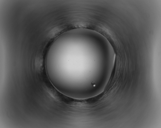 X0000088390548200705221116