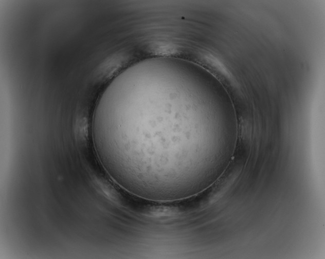 X0000088390549200705221116