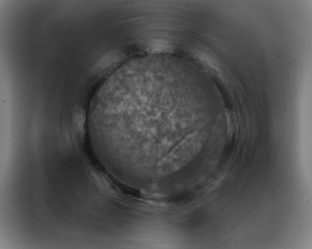 X0000088390550200705221116