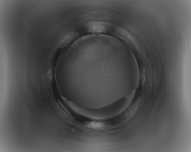 X0000088390551200705221116