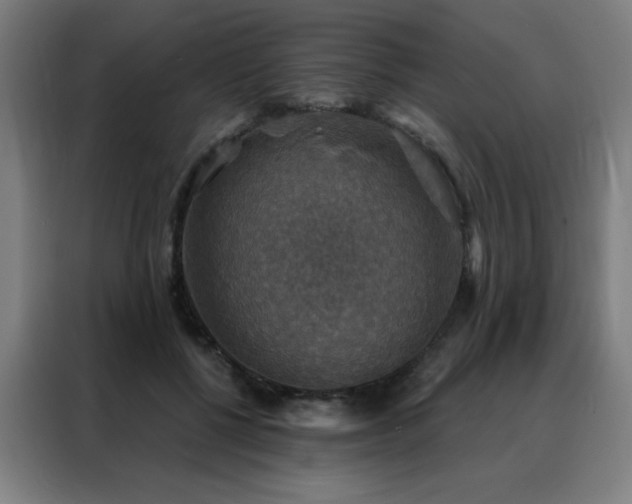 X0000088390552200705221116