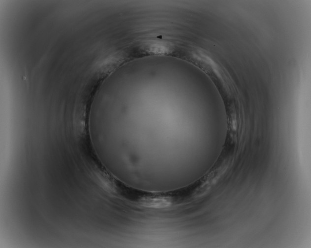 X0000088390553200705221116