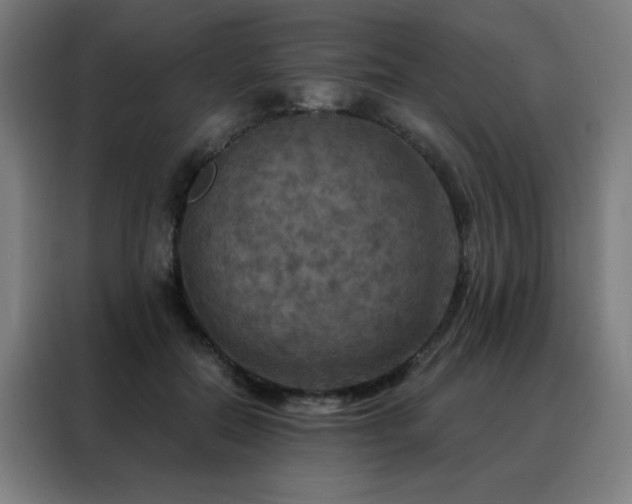 X0000088390554200705221116