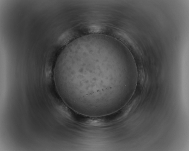 X0000088390557200705221117