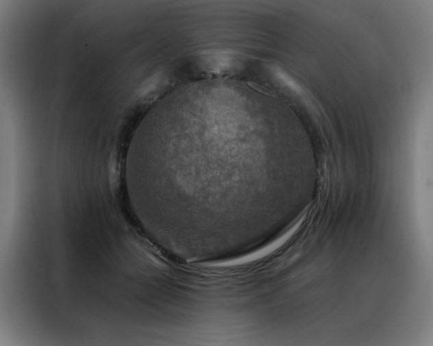 X0000088390558200705221117