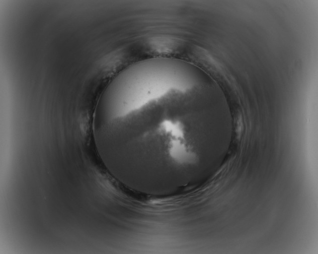 X0000088390559200705221117