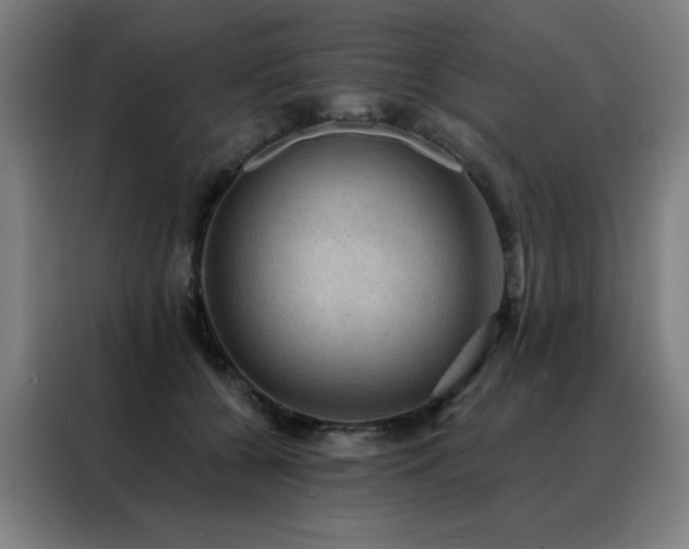 X0000088390560200705221117