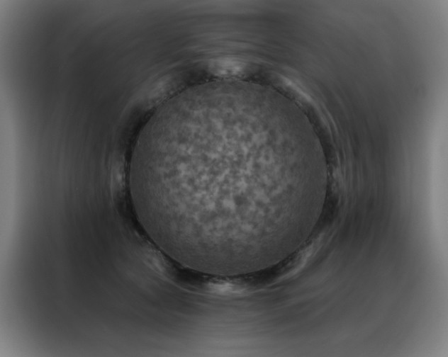 X0000088390561200705221117