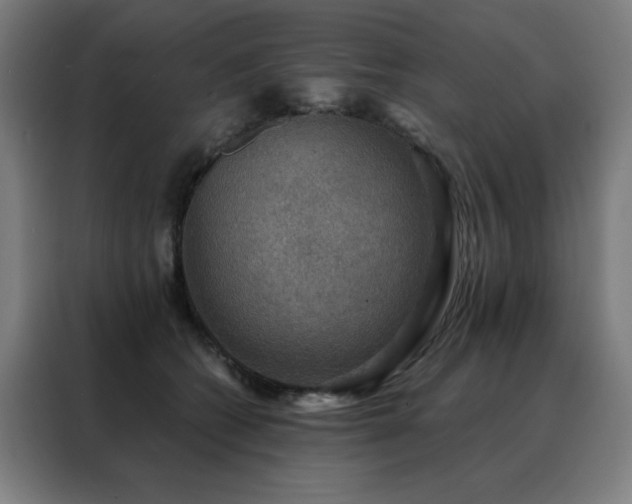 X0000088390562200705221117