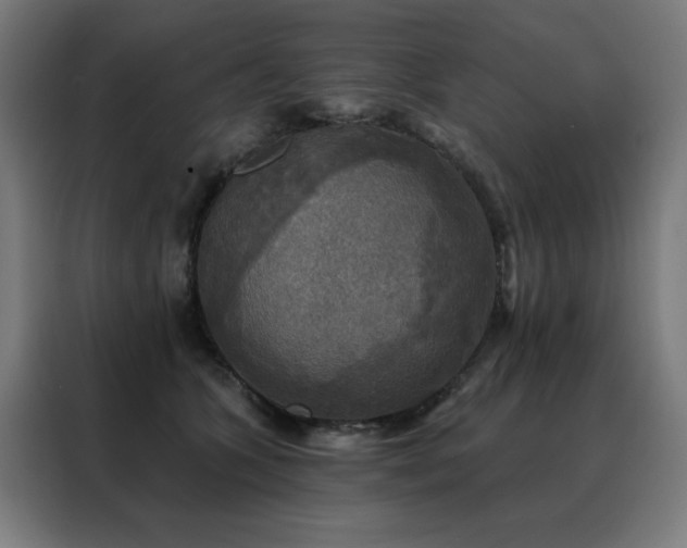 X0000088390563200705221117