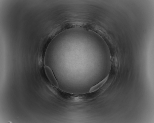 X0000088390564200705221117