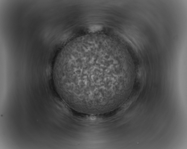 X0000088390565200705221117