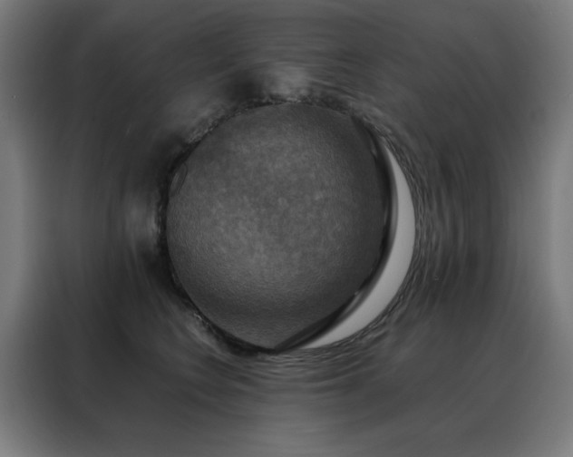 X0000088390566200705221117