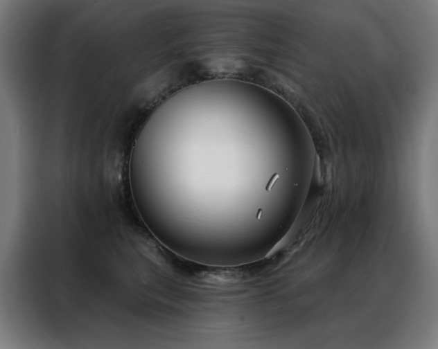 X0000088390567200705221117