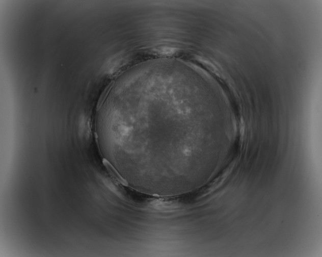 X0000088390568200705221117