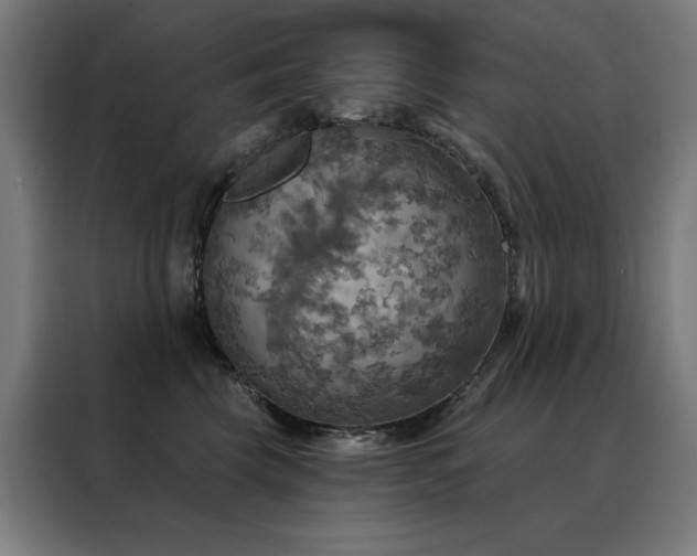 X0000088390569200705221117