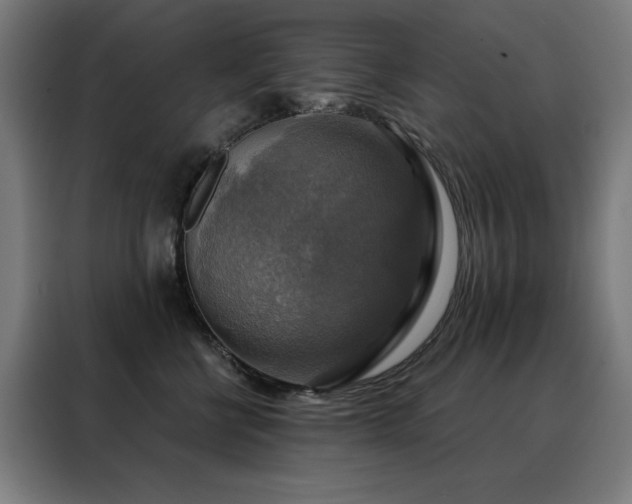 X0000088390570200705221117