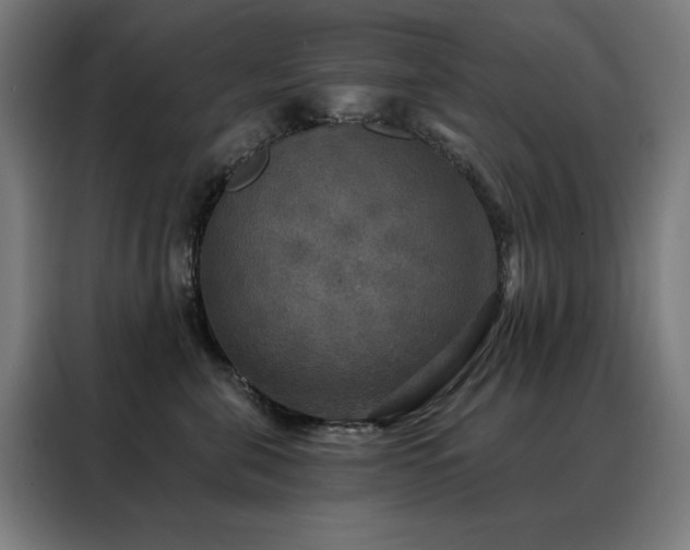 X0000088390571200705221117