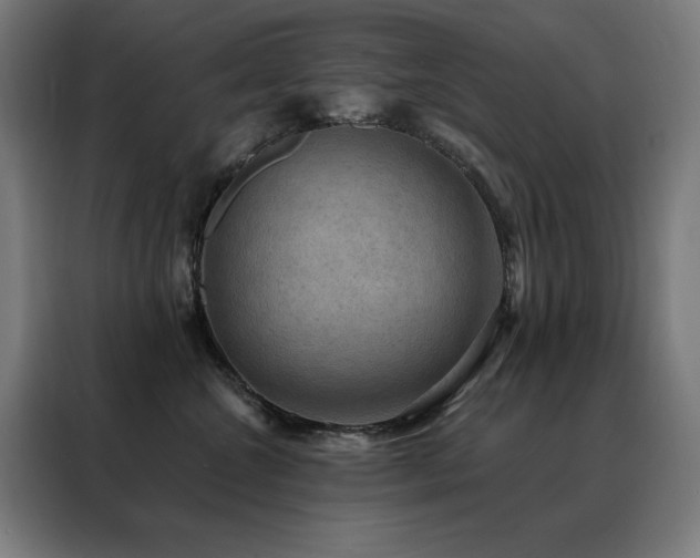 X0000088390572200705221117