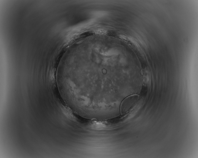 X0000088390573200705221117