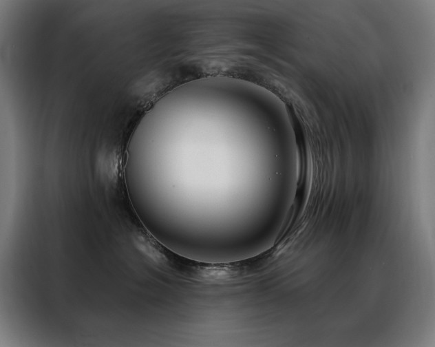 X0000088390574200705221117