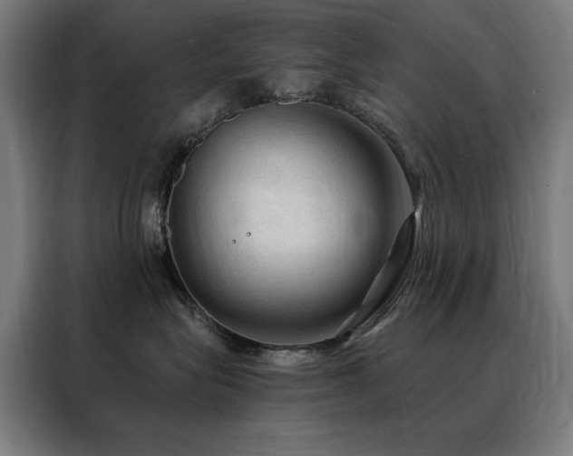 X0000088390575200705221117