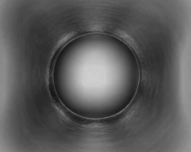 X0000088390578200705221116