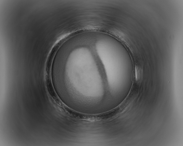 X0000088390579200705221116