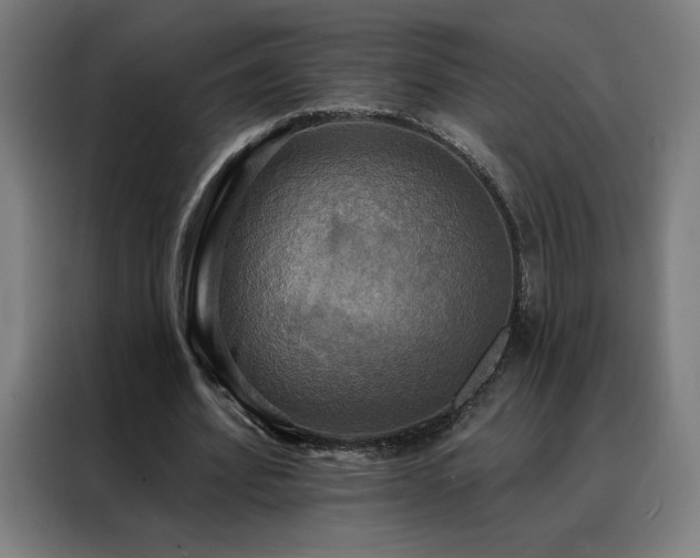 X0000088390580200705221116