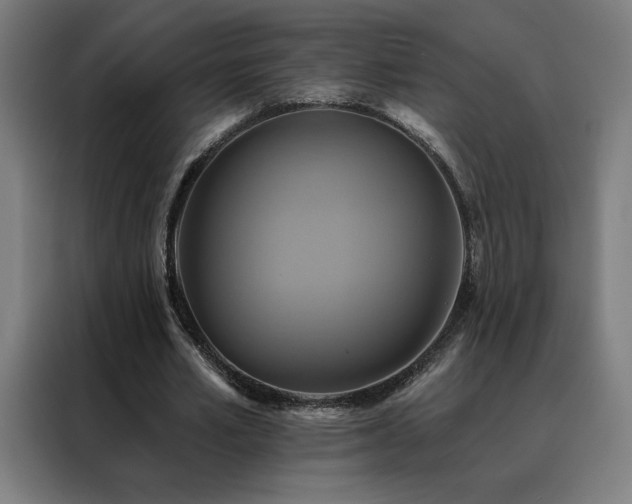 X0000088390581200705221116