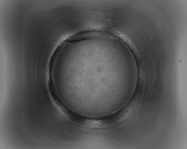 X0000088390582200705221116