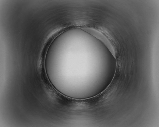 X0000088390583200705221116